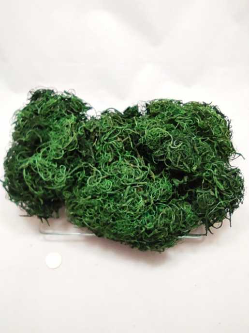 Curly moss 500 gr. moss green