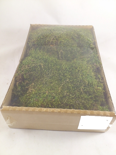 Flat moss 200 gr.