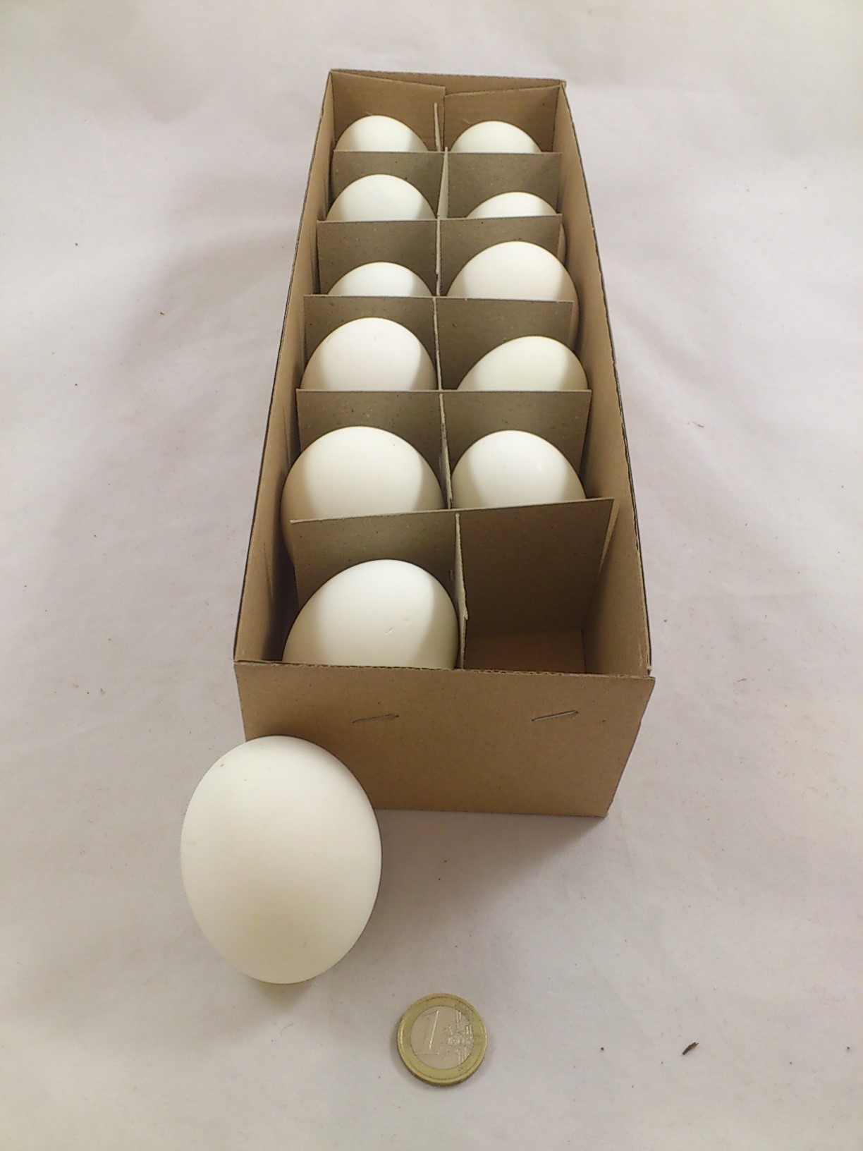 Duck eggs 12 p.