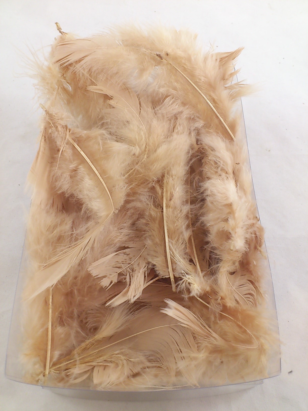 Feathers box 20x12x5 cm light brown