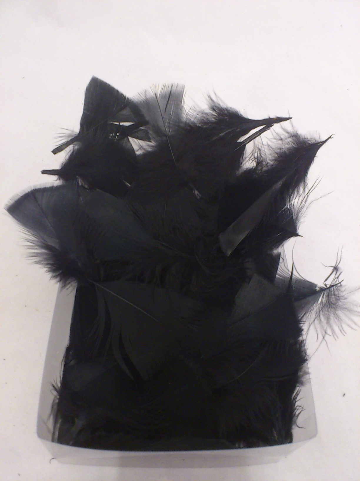 Feathers box 20x12x5 cm black
