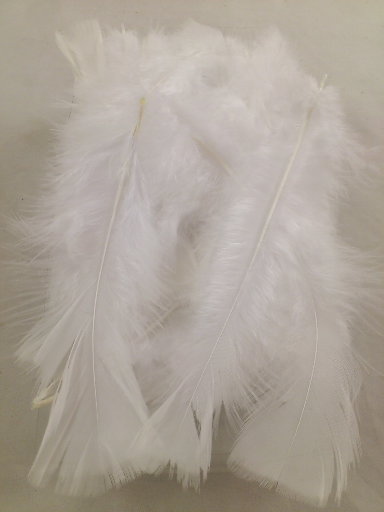 Feathers  box 20x12x5 cm white
