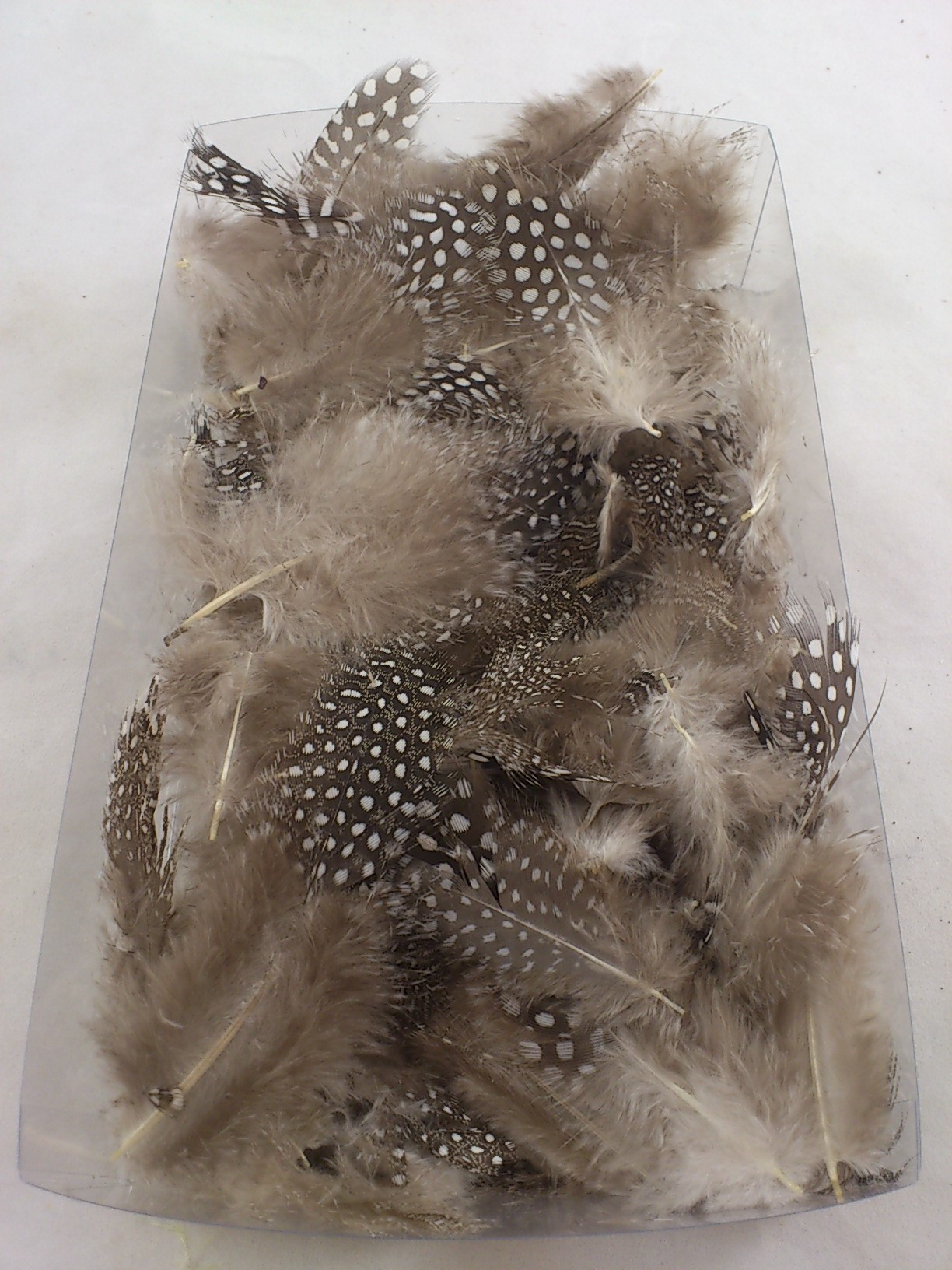 Feathers guinea fowl box 20x12x5 cm natural