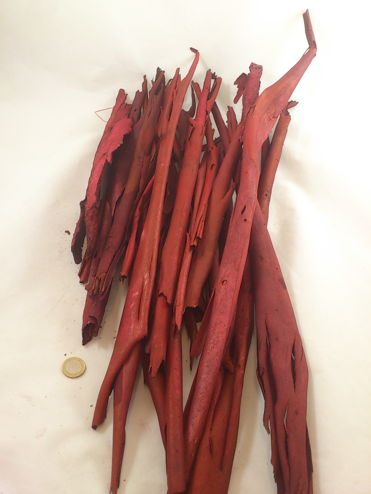 Ecorces d'eucalyptus rouge 500 gr.