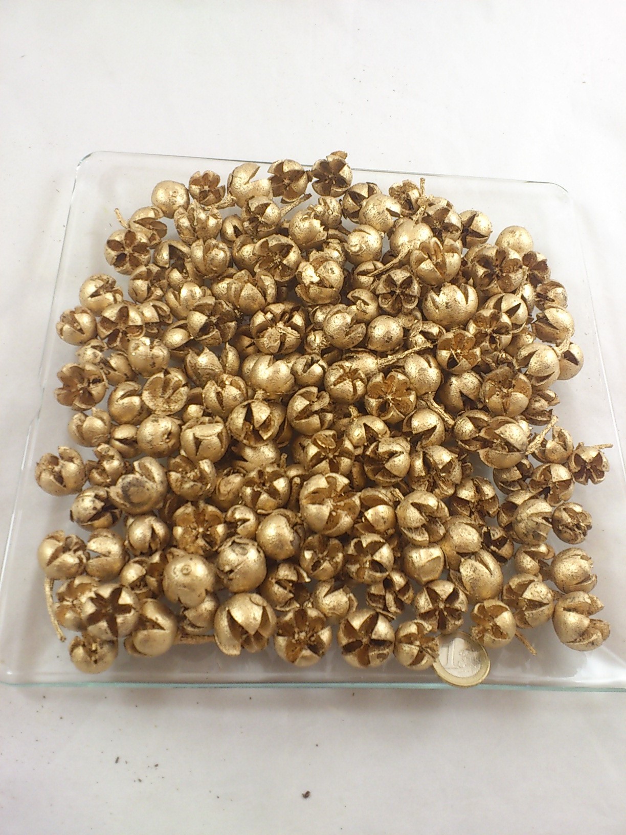 Chiloni 500 gr. gold