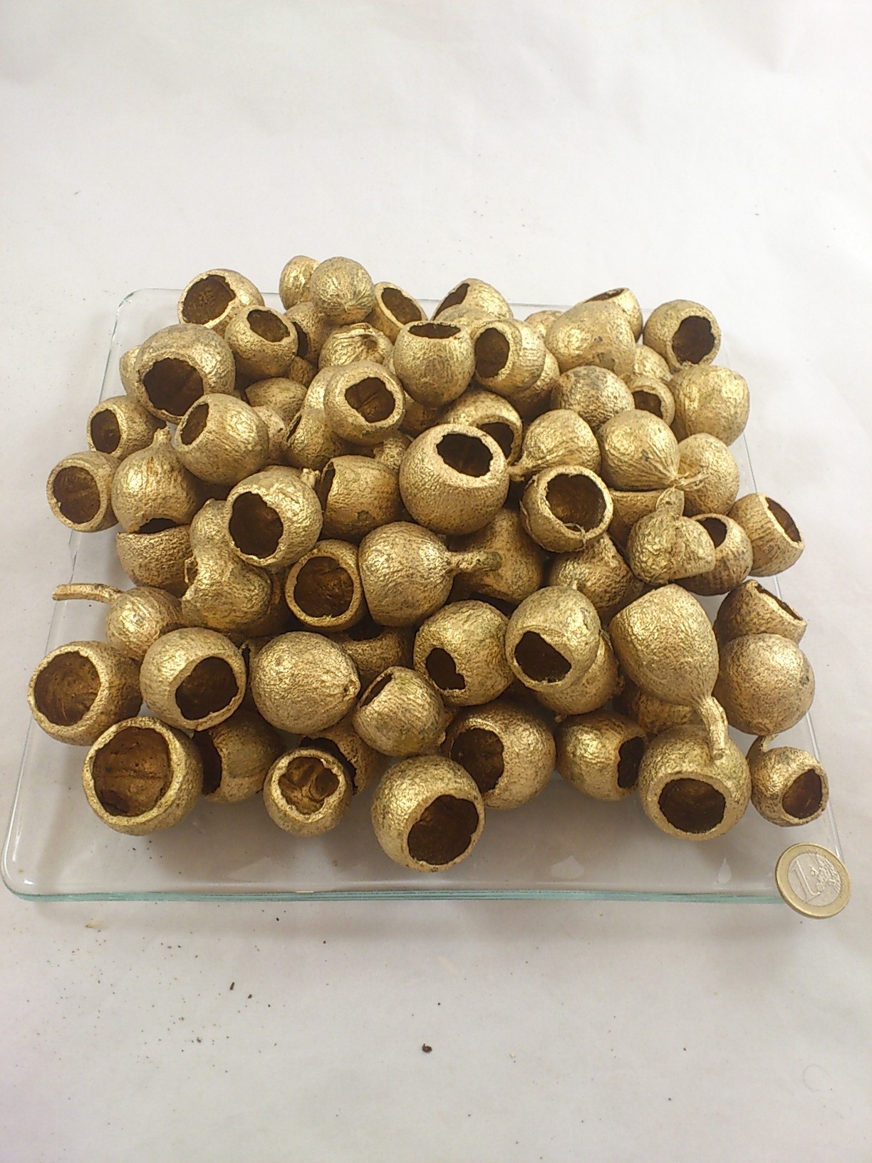 Gouri cups 500 gr. gold
