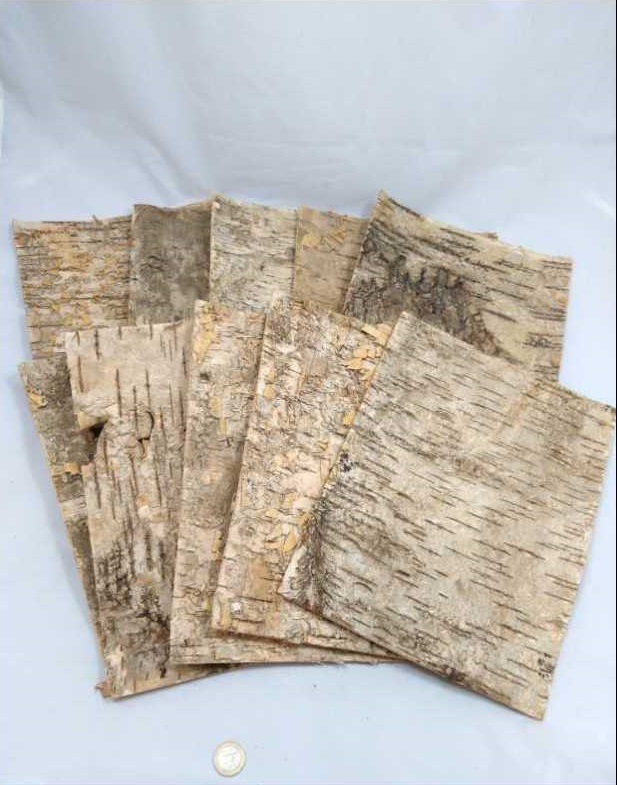 Birch bark créme 30x23 cm 10 p.