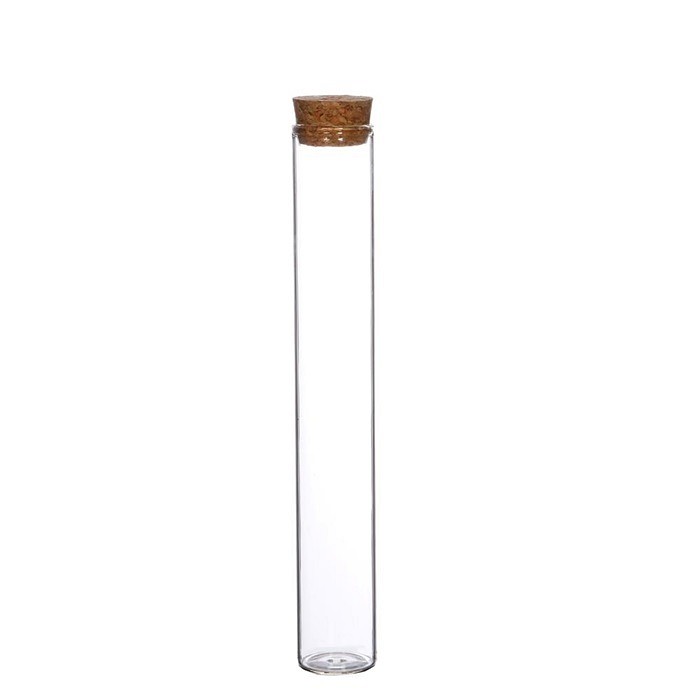 Glas tube met kurk H20cm D3cm (1 st.) 