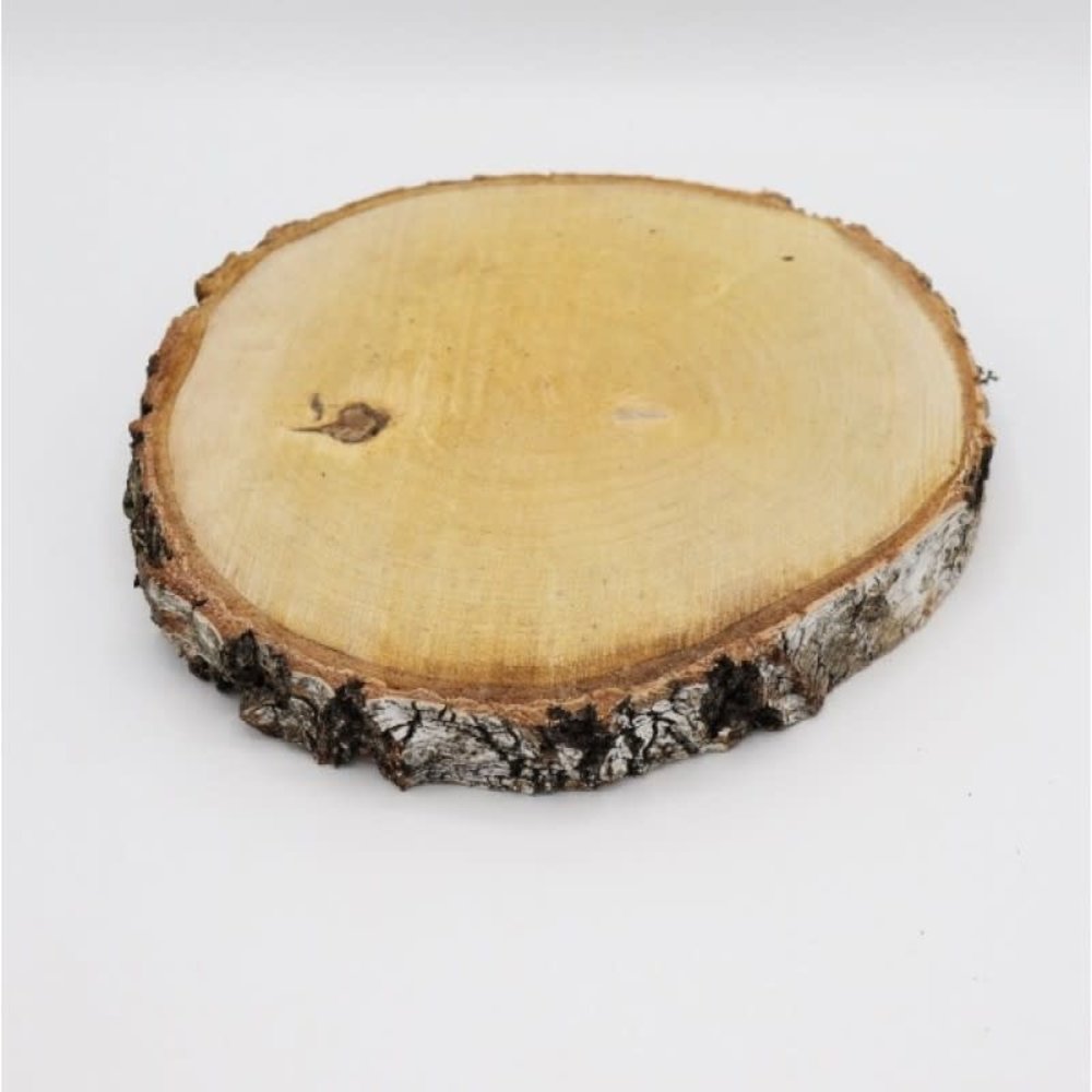 Birch (disk) 10-13 cm 2 cm thickness