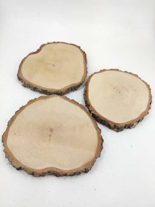 Birch (disk) 23-25 cm 2,5 cm PREMIUM