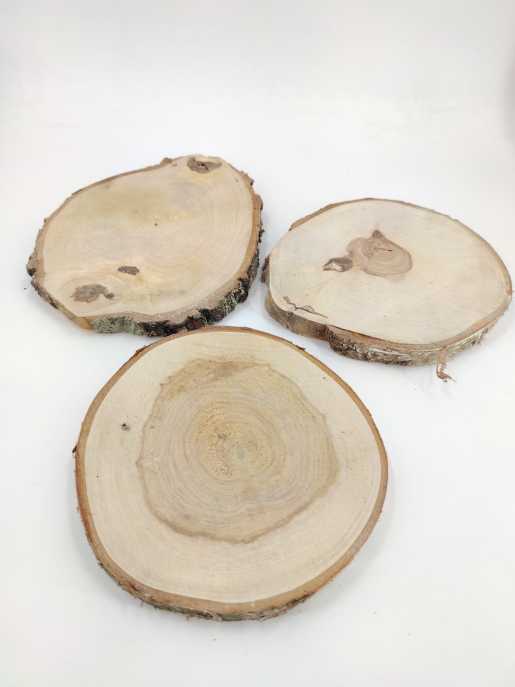 Birch (disk) 23-25 cm 2,5 cm thickness