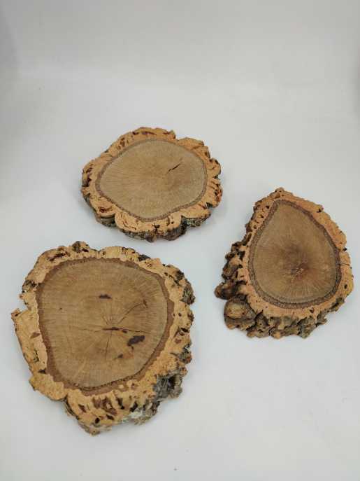 Cork wood slice ca 16 cm