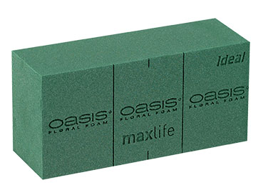 Oasis brick ideal maxlife 23x12x8 cm