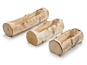 Planter Birch 39 cm 