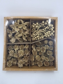 Exoten-Sortiment Gold 18x18 cm