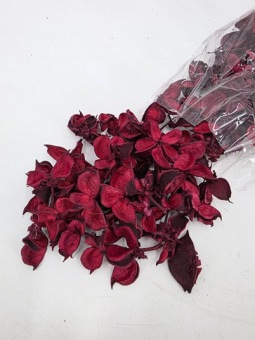 Cotton pods 150 gr. cred