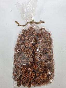 Casuarina 300 gr. Koper