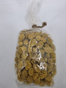 Casuarina 300 gr. Senfgelb