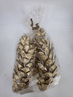 Strobus 5 pcs. Or