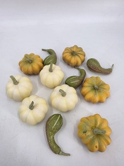 Pompoenen Assortiment 12 st.