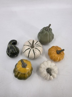 Pompoenen Assortiment 6 st.