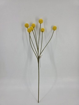 Kunstbloem Craspedia 60 cm