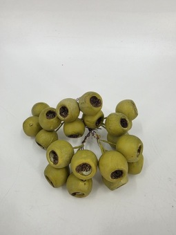 Bell Fruit op draad groen 3 cm 20 st.