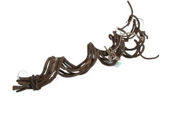 Fagot de Liana 50 cm 8 pcs. 