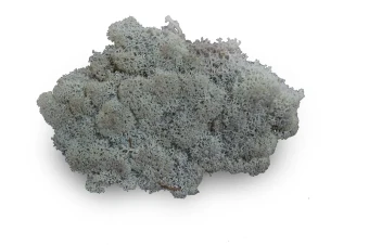 Rendiermos premium ca. 50 gr. grijs