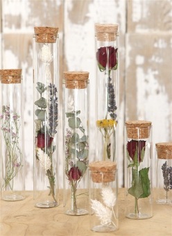 Tube en verre avec liége H20cm D3cm (6 p.)