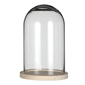 Cloche en verre avec socle en bois H 25 cm Ø 17 cm