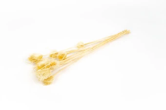 Chardon sur manche blanchi 150 gr.