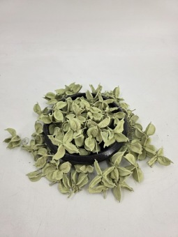 Cotton Pods 150 gr. Pastel Groen