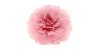 Feather Rose op clip roze ⌀11 cm