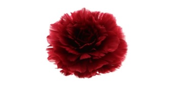 Feather Rose op clip rood ⌀11 cm