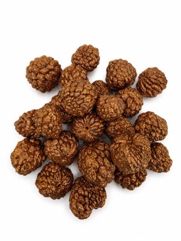 Ata Fruit Koper 300 gr.