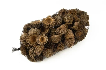 Acorn Cones natural 1 kg.