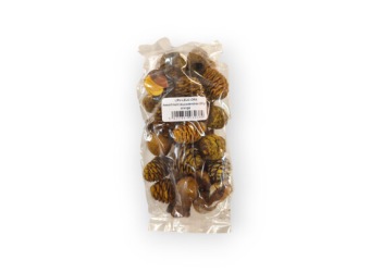 Assortiment Leucadendron 250 gr. Oranje