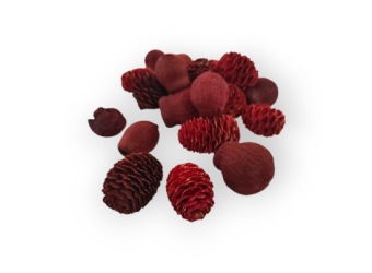 Assortiment Leucadendron 250 gr. Rood