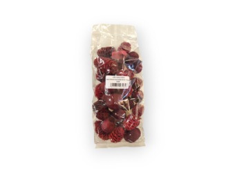 Assortiment Leucadendron 250 gr. Rood