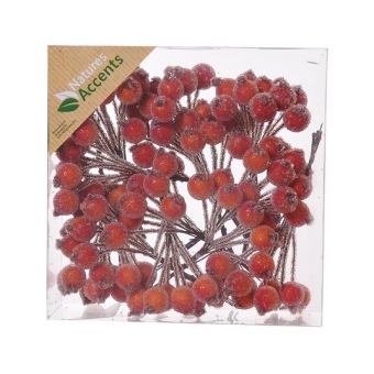 Bessen Gesuikerd Oranje 3 x 10 st. 12 mm.