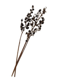 Black Berry 3 takken