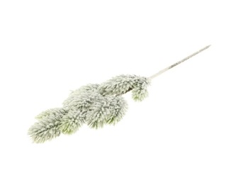 Branch Nobilis 45x15x5 cm