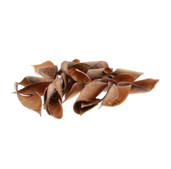 brownie curved exotische peulen en noten bloemschikmateriaal dentergem