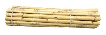 Canna Stokken Naturel