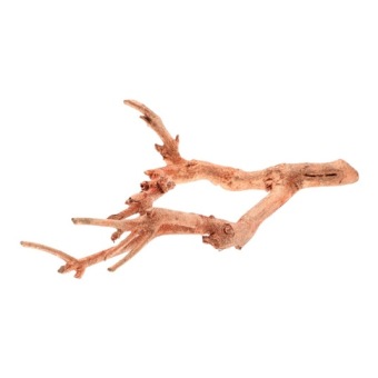 Curry Bush Glitter Copper