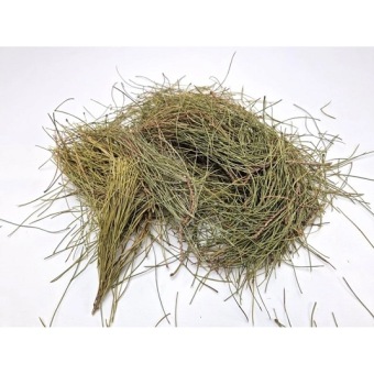 Pine Needles Natural 200 gr. 