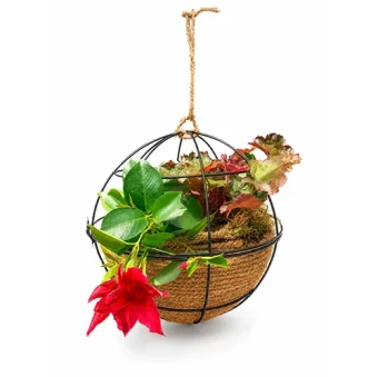 DIY Luxe Plantenbol 30 cm hangend met planten - Dentergem - bloemschikmateriaal