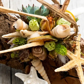 DIY-pakket moerbeistronk 40-50 cm - Dentergem - bloemschikmateriaal
