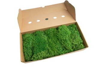 Egelmos Gepreserveerd Mosgroen 500 gr.